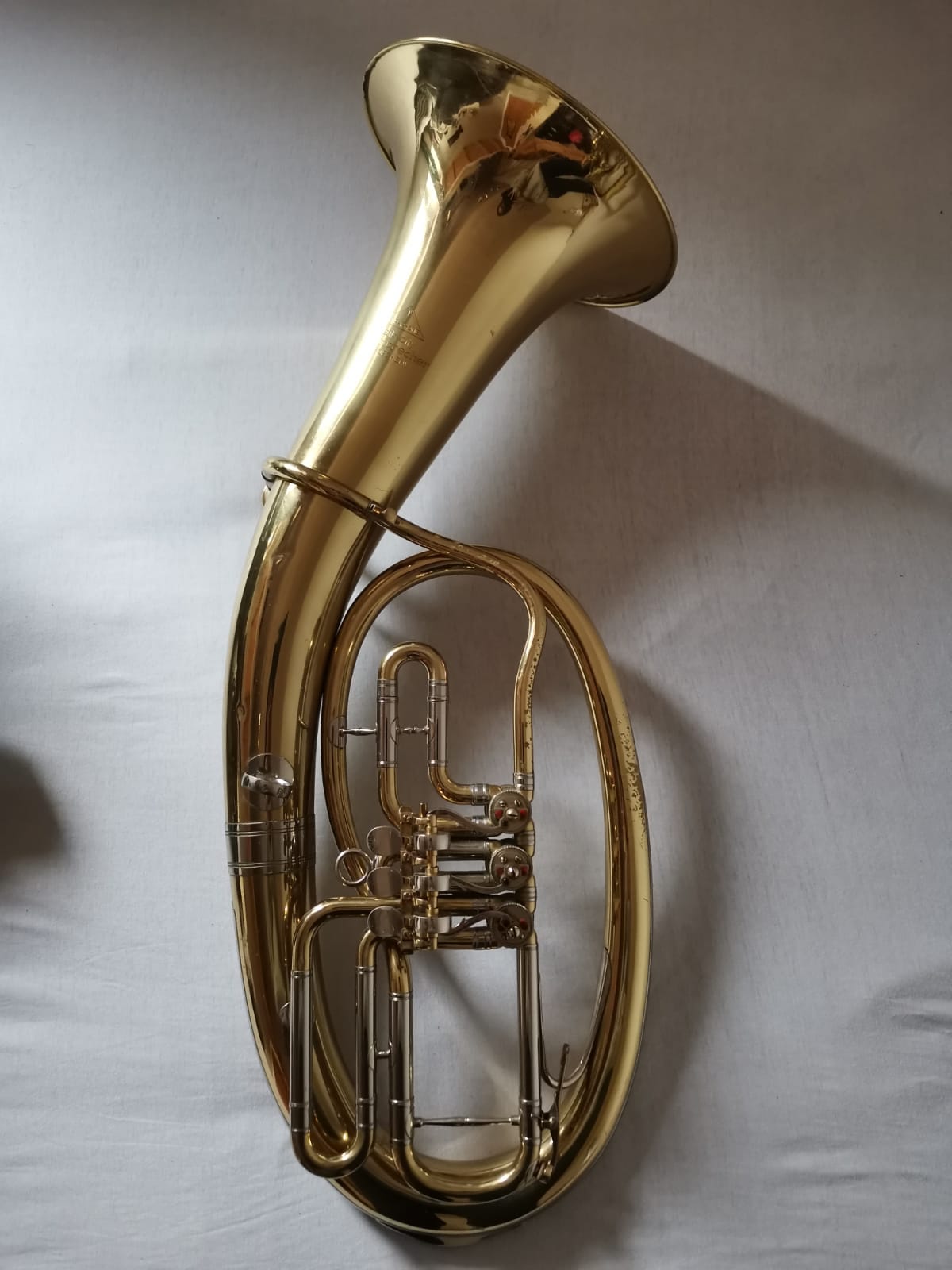 Tenorhorn